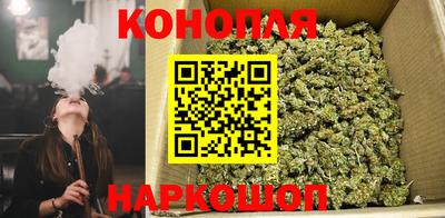 амф Волгодонск
