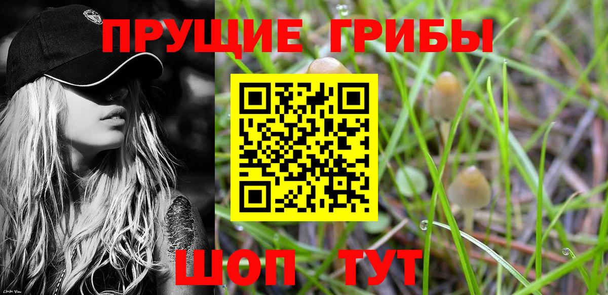 Галлюциногенные грибы MAGIC MUSHROOMS  Вход с VPN  Железногорск 