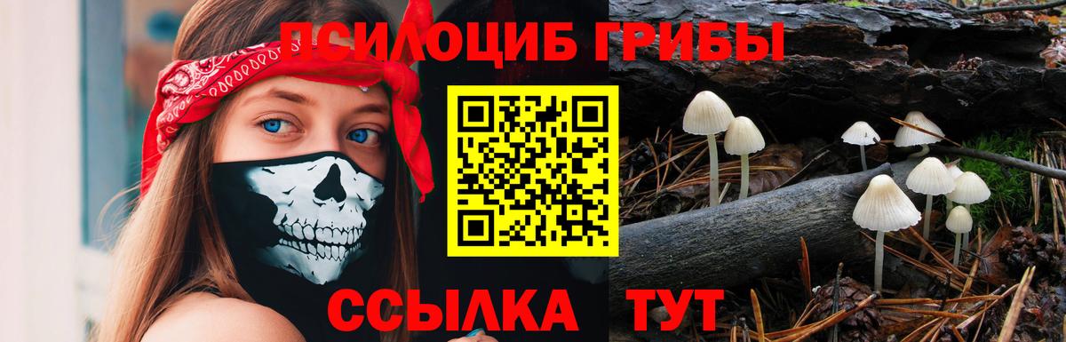 APVP СК кристаллы  ЭКСТАЗИ  Мефедрон   ГАШИШ  Железногорск  МАРИХУАНА 