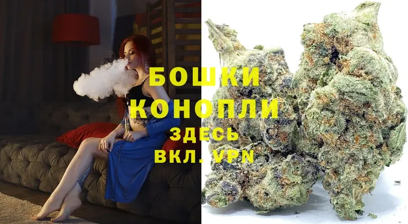 Шишки марихуана THC 21%  Железногорск 